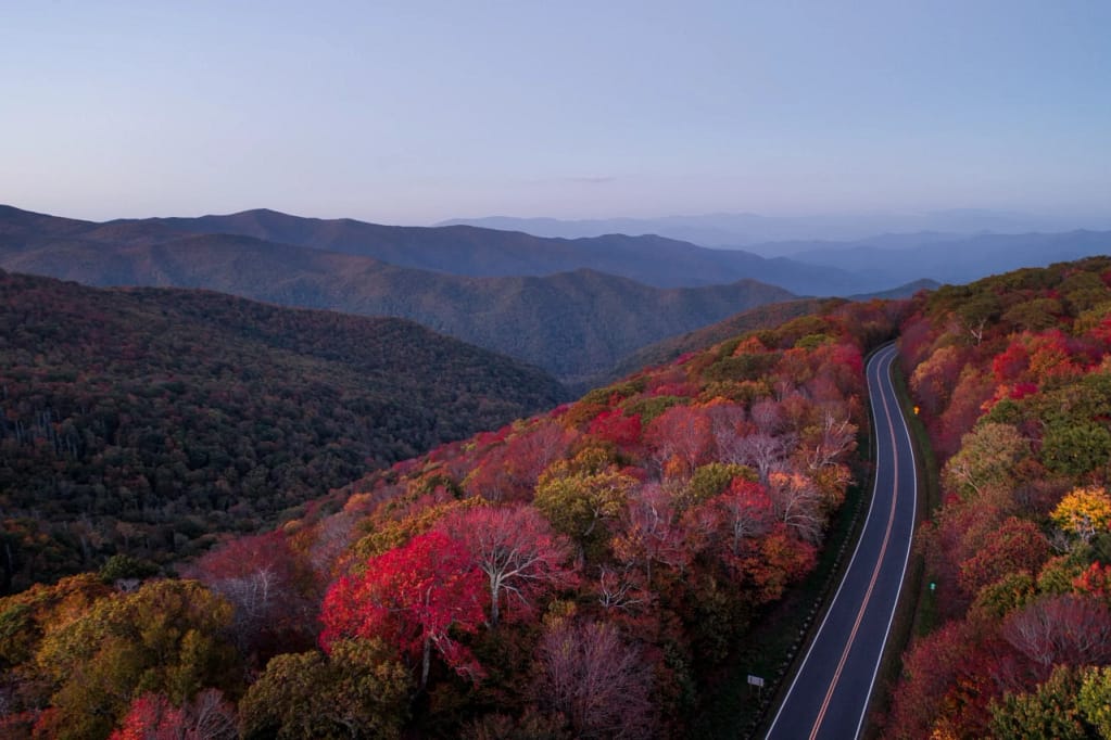 a road with colorful trees on the side of a mountain